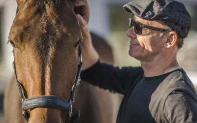 Harnais d’attelage : choisissez le meilleur pour votre cheval