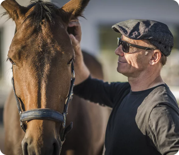 Harnais d’attelage : choisissez le meilleur pour votre cheval