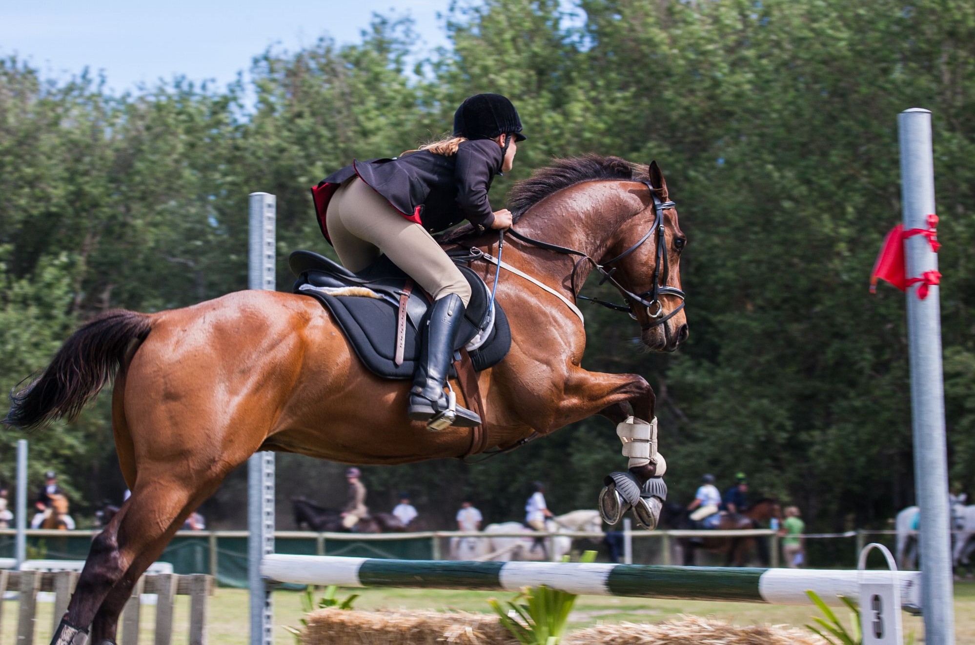 Sellier en Haute-Vienne